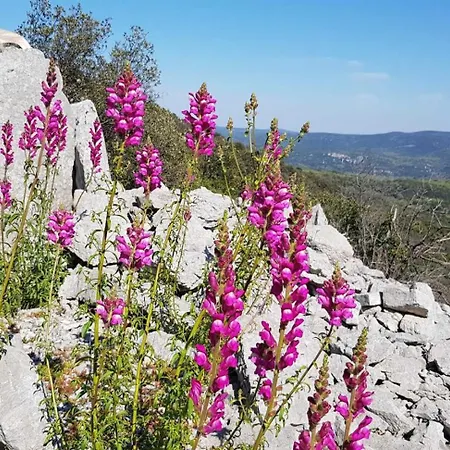 בית נופש Cote Seranne