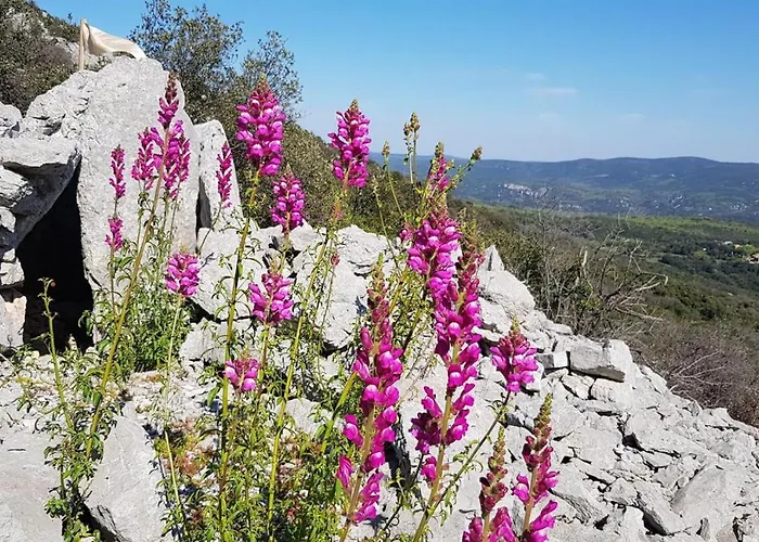 Semesterbostad Cote Seranne *